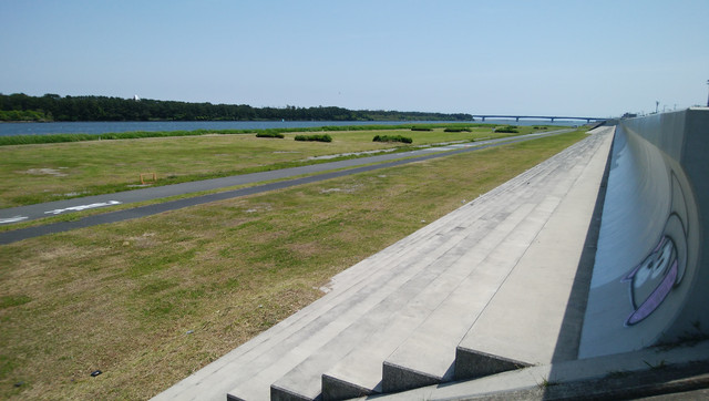DSC-0080