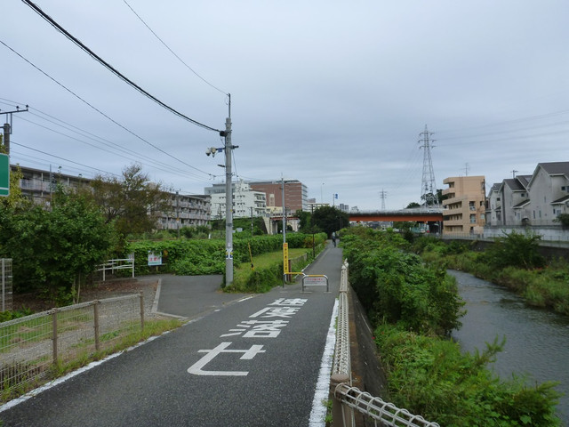P1350339