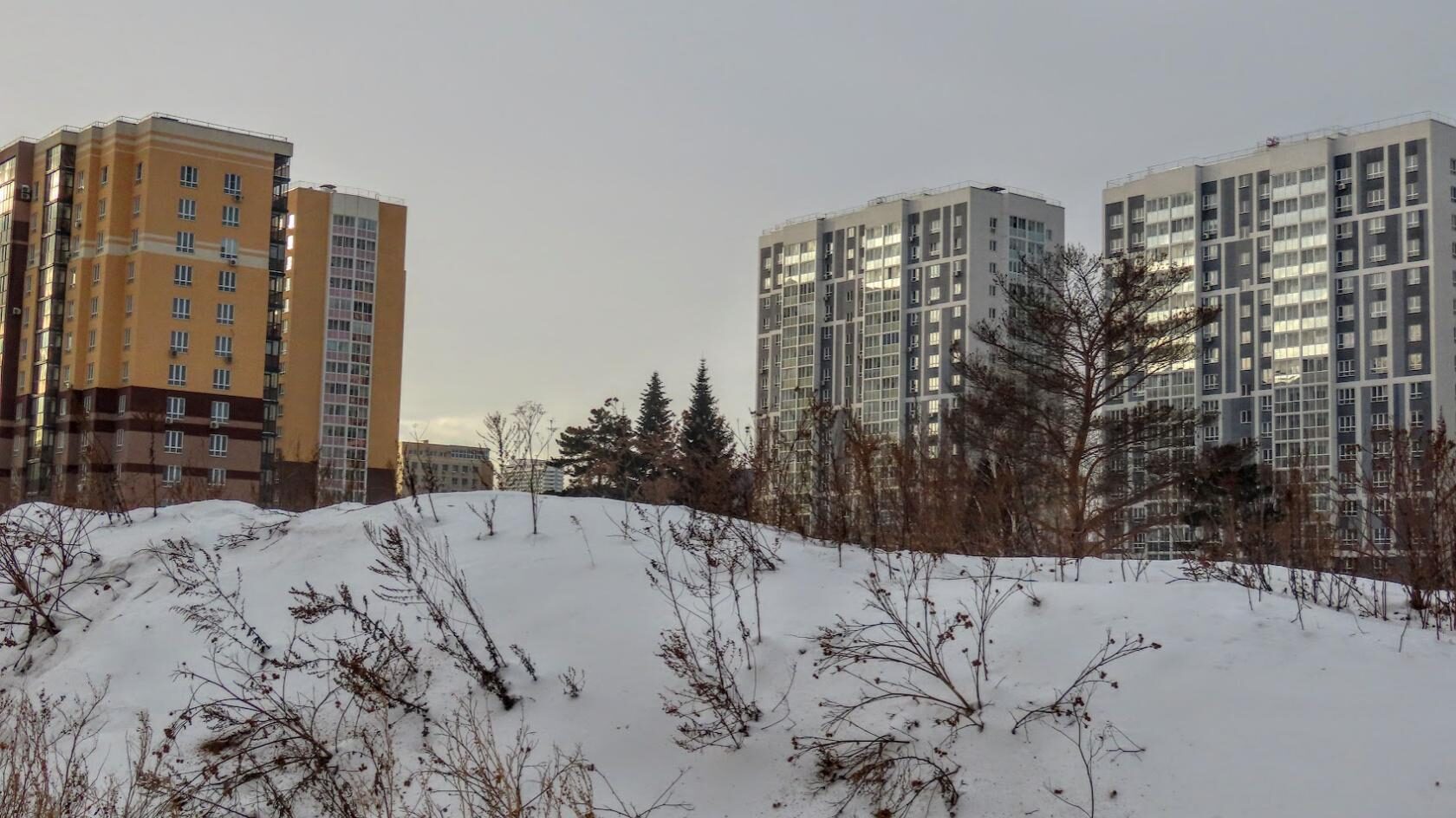 луначарского башкортостан октябрьский. первомайская 34 череповец нотариус. моя родня пенза луначарского 7. утэк торгово экономический колледж уфа общежитие. котлас центр города.