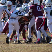 IMG-4218