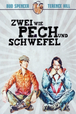 ZWWPCHNDSCHWFL.jpg
