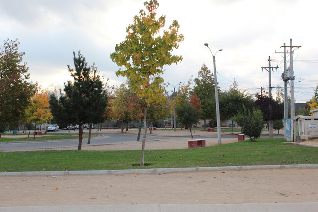 IMG-2379