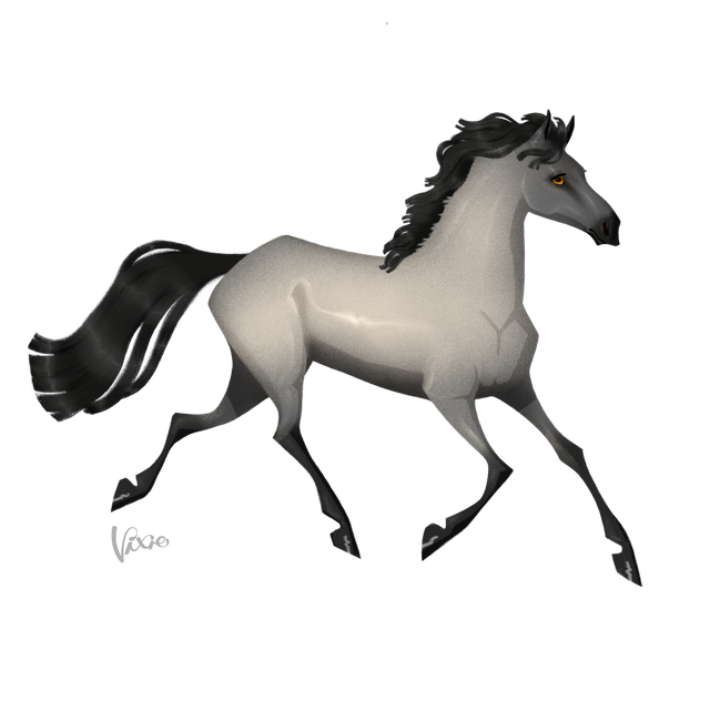 Adopt-roan-grullo.png