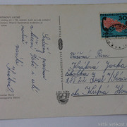 IMG-6336