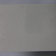 IMG-5039