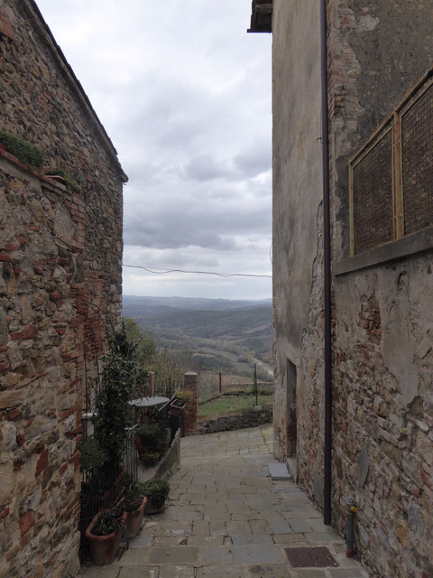 P1010476.jpg