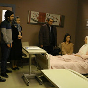 ELIF-43