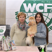 DSC-6301