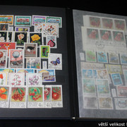 IMG-2584