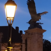 IMG-20240407-194424