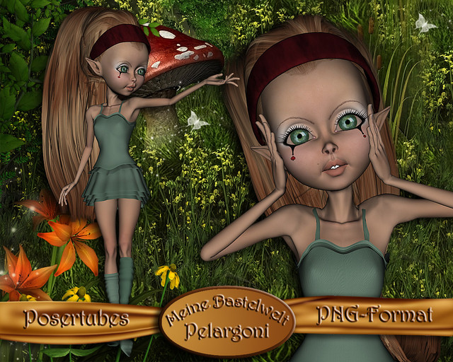 MBW-Pelargoni
