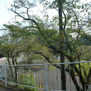 P1350112