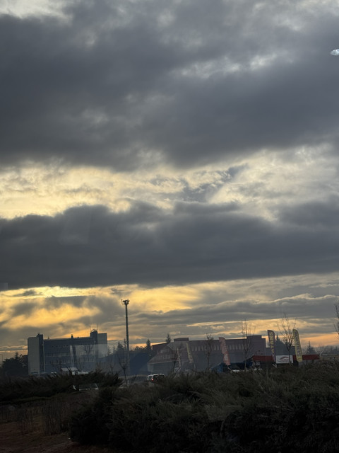 IMG-1686