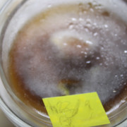 IMG-1190