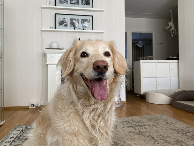 B473-C8-E3-1-AAF-4-C26-8991-AB441-BB7-CA