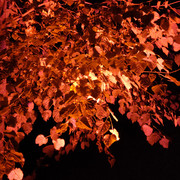 IMG20220923202131