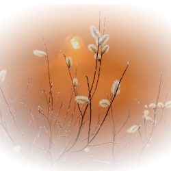 2334e06690d39b5c6-th.png