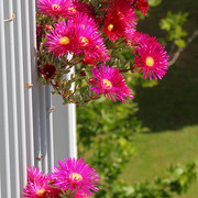 IMG-8092