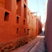 DSC07827