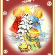 cards-x7