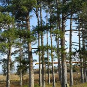 IMG-20230118-232352