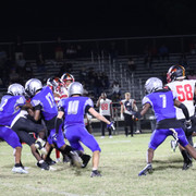 IMG-1196