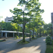 P1320105