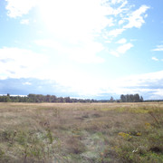 DSC00746