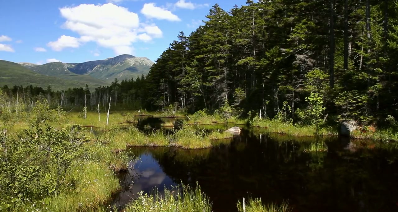 Lake Placid: Legacy Screenshot
