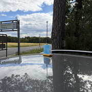 IMG 4768