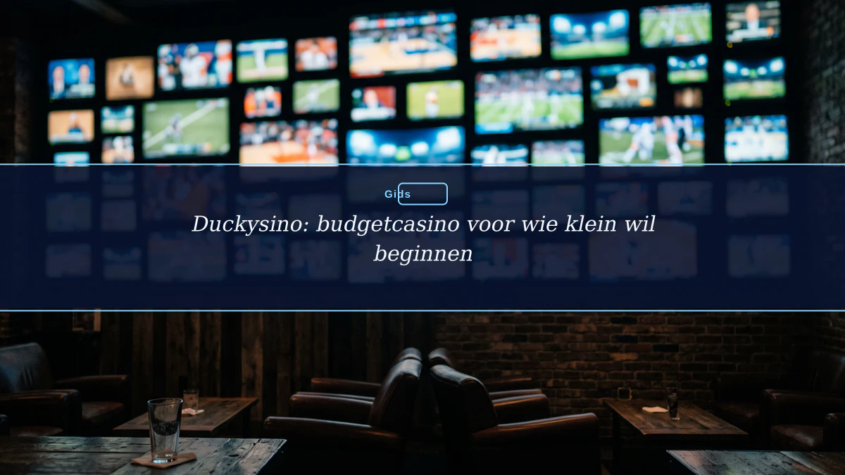 Duckysino: budgetcasino voor wie klein wil beginnen