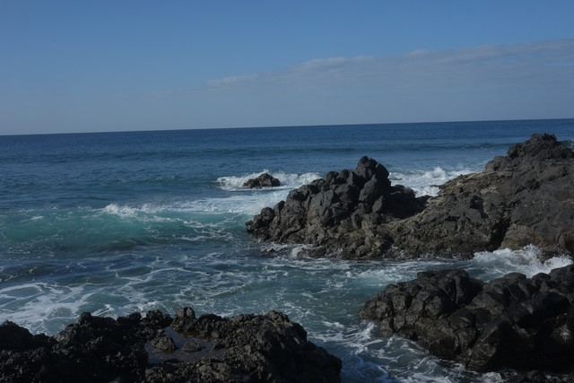 DSCF8392