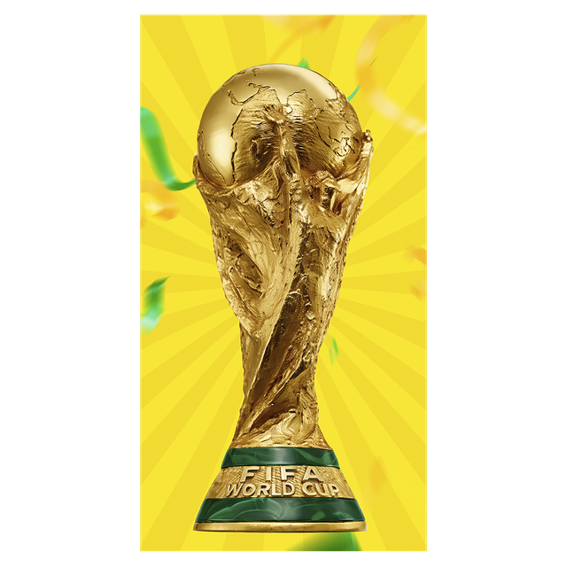306628 Copa Brasil