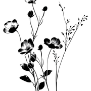 2b48e102c9a06c53007906c0ebf5428b