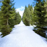 Jizerky