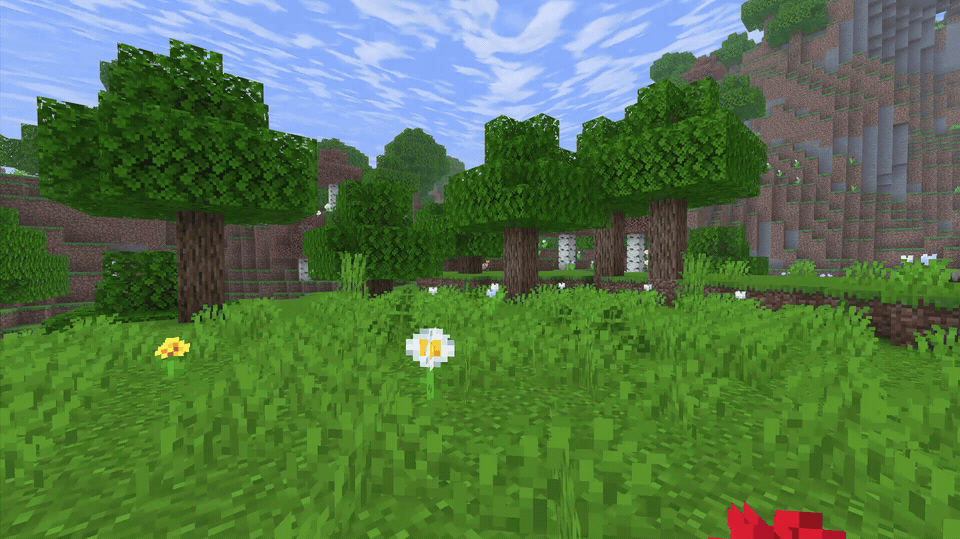 Forest Cliffside Day