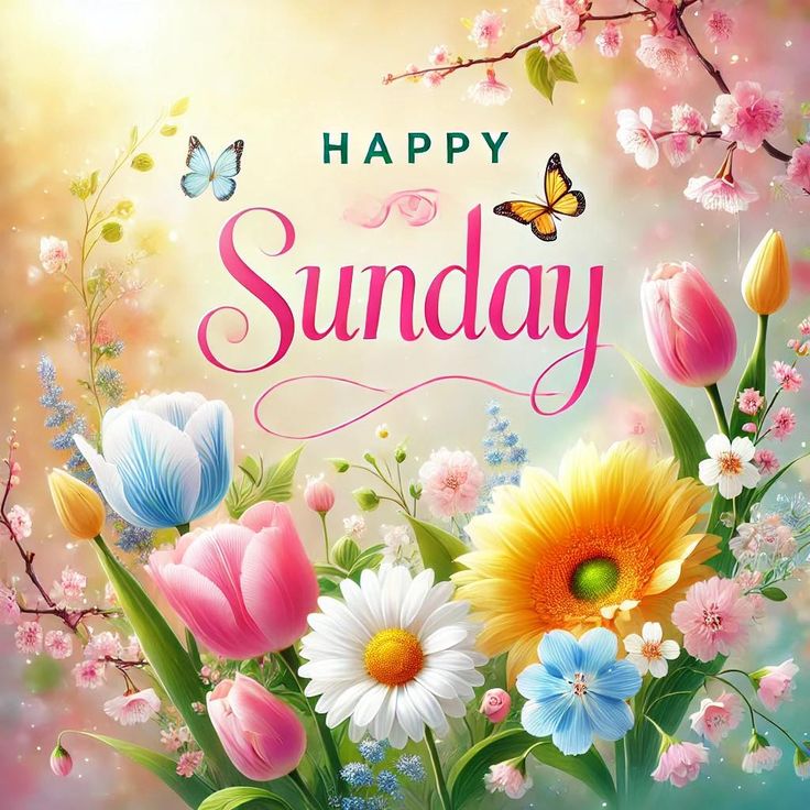 sunday3