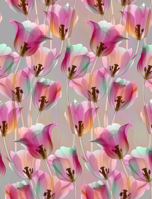 a (65).png