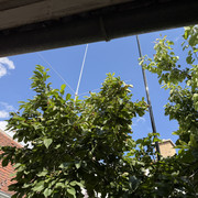 IMG 7436