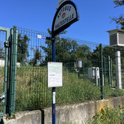 IMG-2210