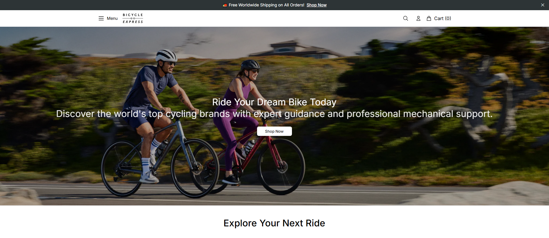 Primary capture · bicycleexpresshub.shop
