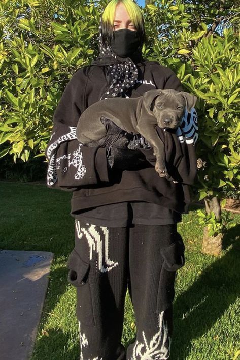 Puppy Shark