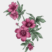 shutterstock 1920867407