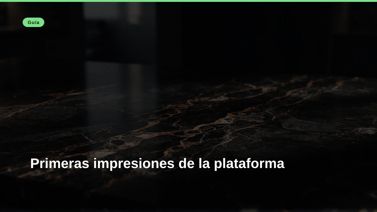 Primeras impresiones de la plataforma