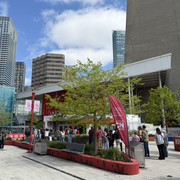 IMG 7146