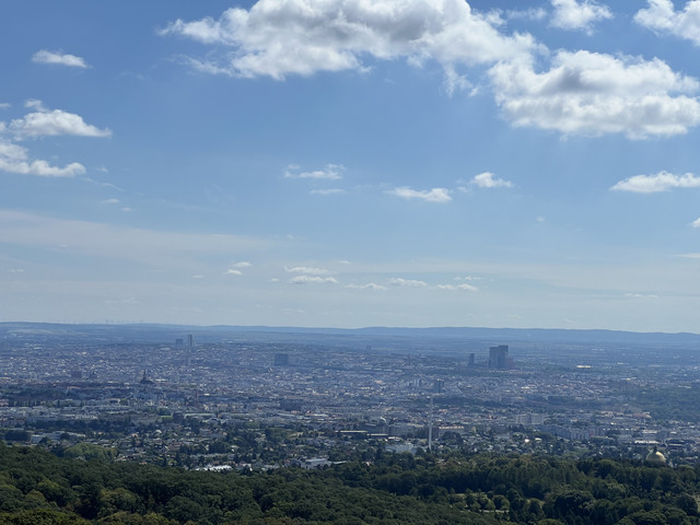 IMG-2246