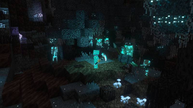 Image 7