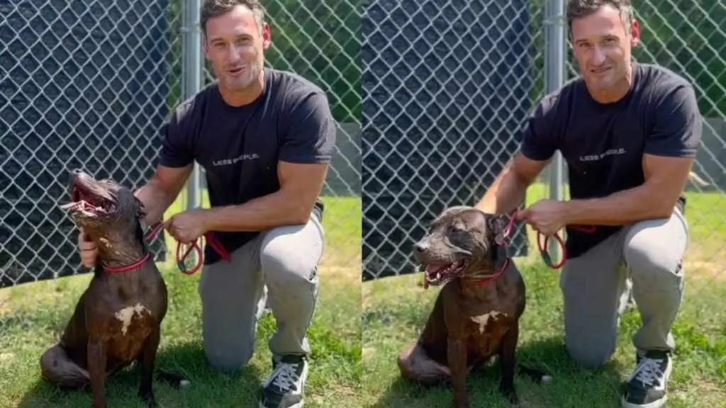 Senior Shelter Dog Belle Seeks Forever Home Amidst Challenges