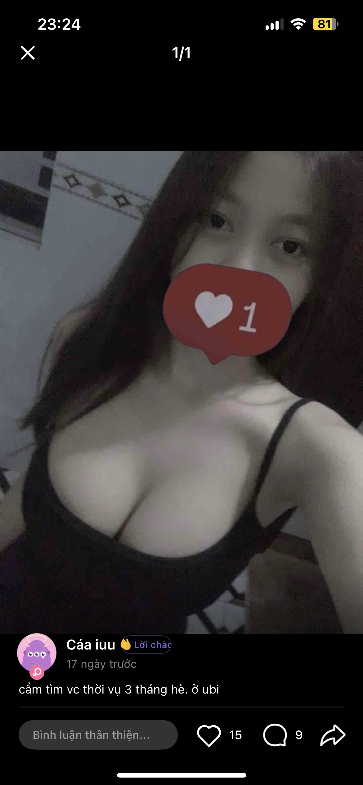 ibb.co
