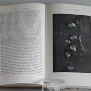 IMG-7431